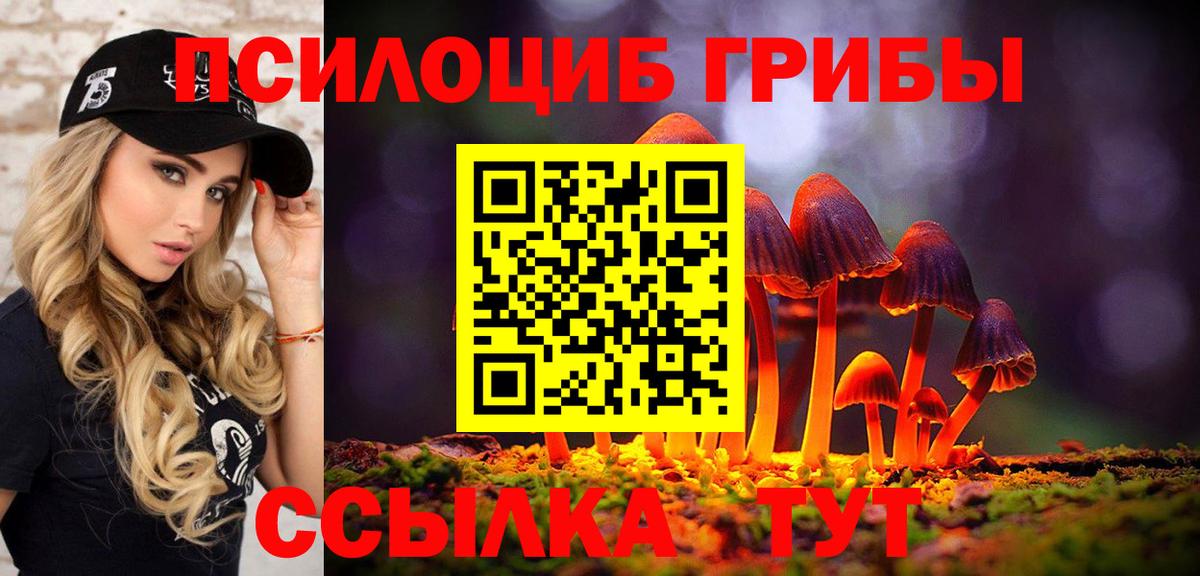 Галлюциногенные грибы GOLDEN TEACHER  Псилоцибиновые грибы мухоморы  Вход с VPN  Сердобск 